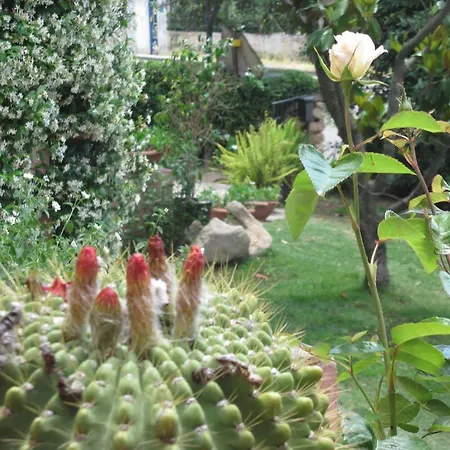Bed & Breakfast Dessole Olbia