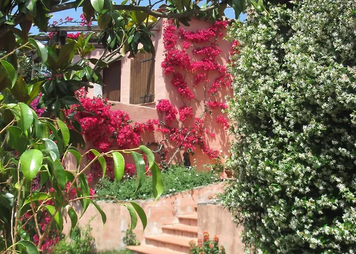 Dessole أولبيا