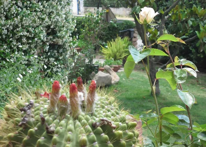 فندق مبيت وإفطار Dessole أولبيا